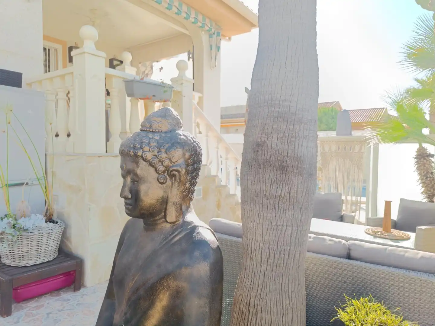 Jardí de Casa o xalet en venda en Benijófar amb Aire condicionat, Calefacció i Jardí privat