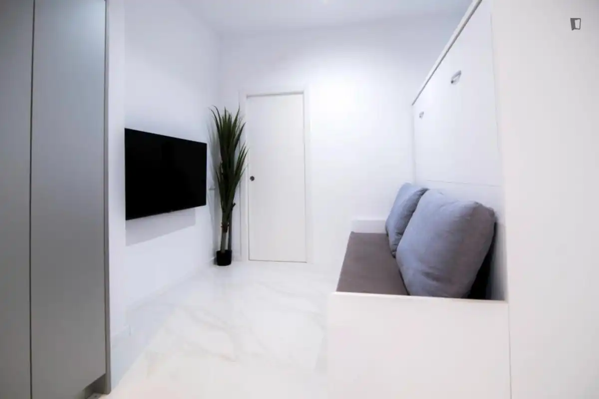 Sala d'estar de Estudi de lloguer en Valencia amb Aire condicionat, Calefacció i Moblat
