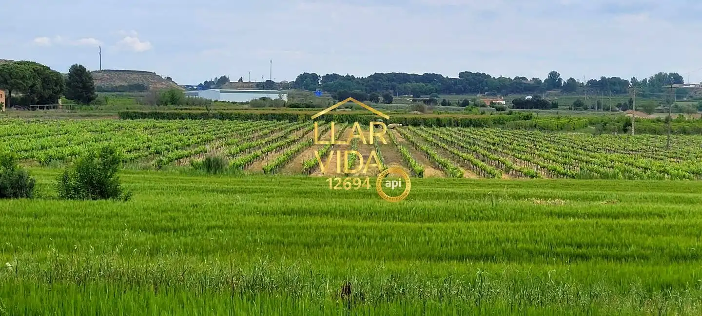 Finca rústica en venda en Lleida amb Jardí privat, Terrassa i Piscina