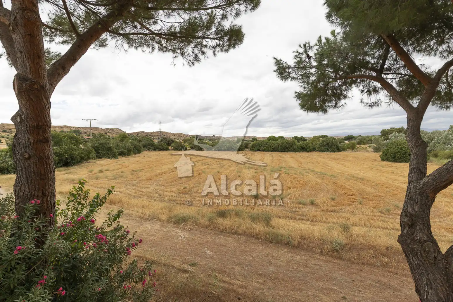 Haus oder Chalet zum Verkauf in El Molar (Madrid) mit Schwimmbad