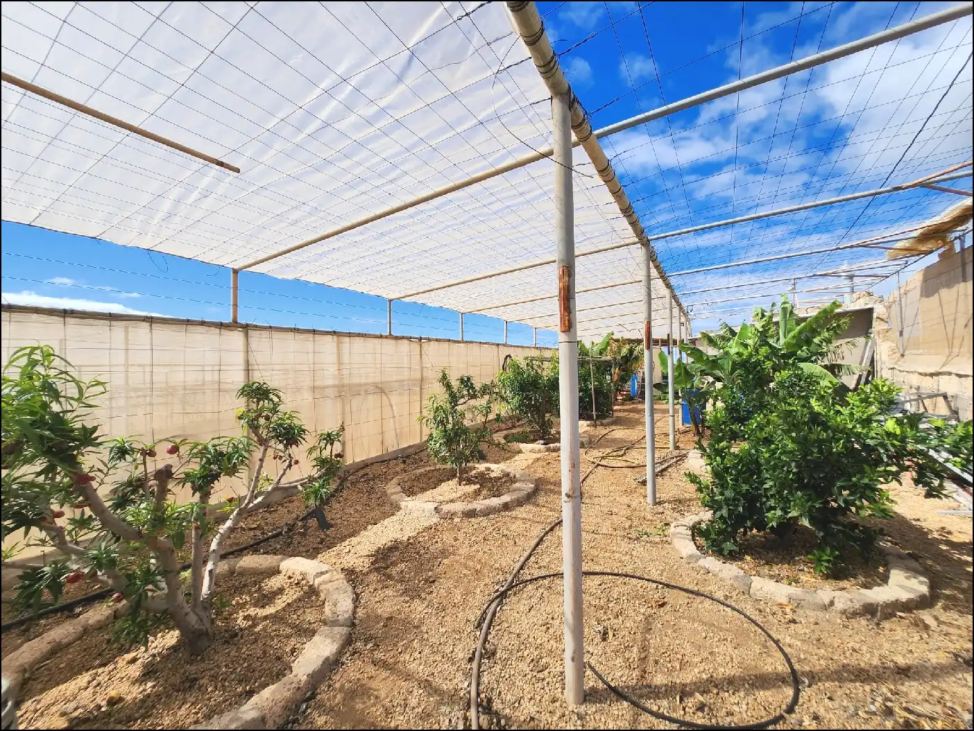 Jardí de Finca rústica en venda en Arico amb Terrassa i Moblat