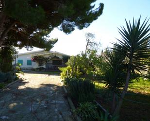 Garden of House or chalet for sale in Chiclana de la Frontera  with Private garden, Terrace and Storage room