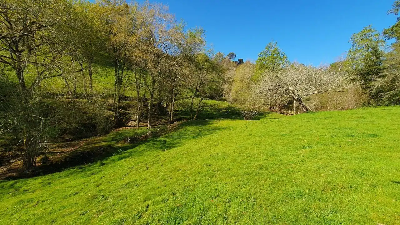 Finca rústica en venta en Llanes