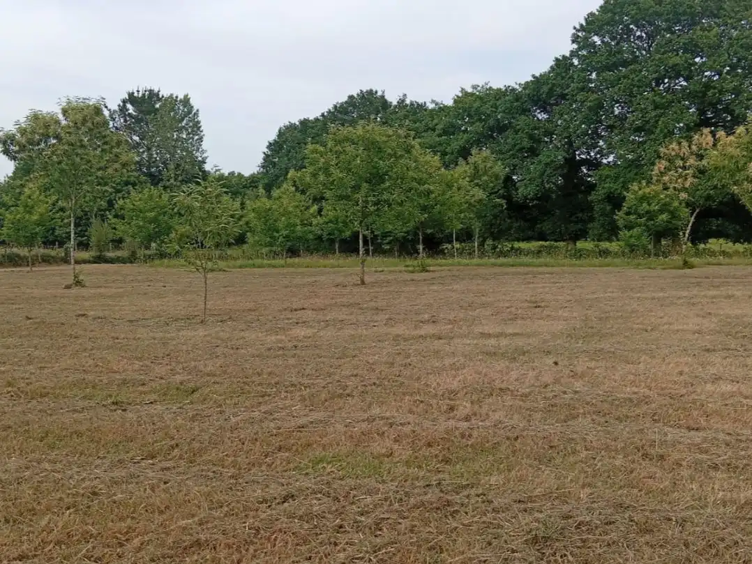 Residential for sale in Curtis