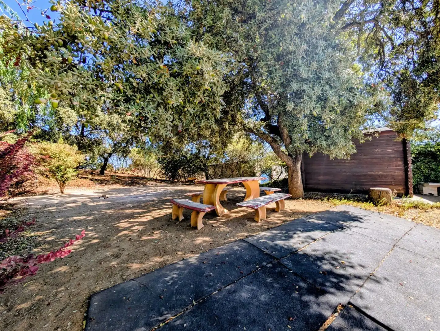 Casa rústica amb piscina en venda a Venta Salinas, imagen 67