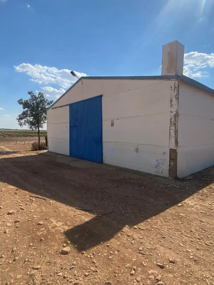 Exterior view of Land for sale in Socuéllamos