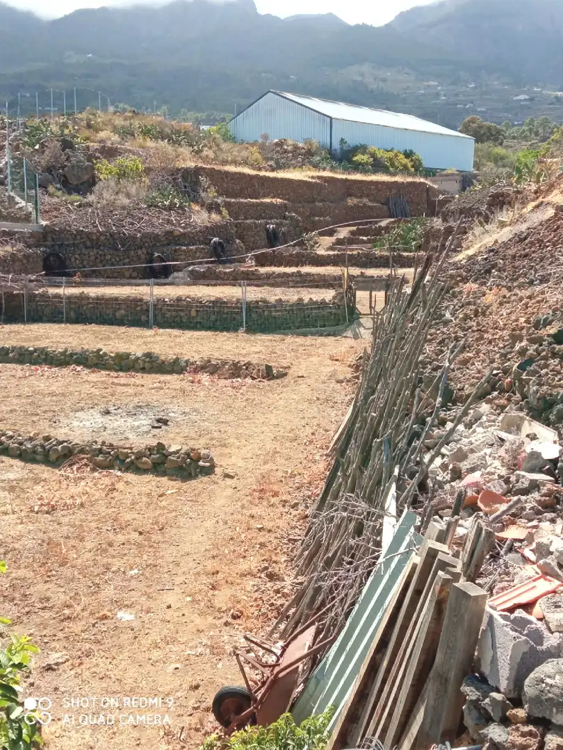 Casa o xalet en venda en Arafo amb Jardí privat, Terrassa i Traster
