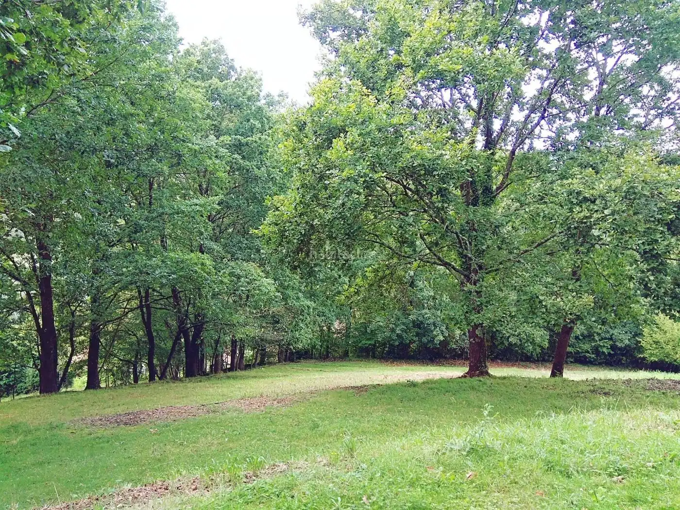Wohnbaugrundstück zum Verkauf in Caserio Cavielles 7, imagen 4