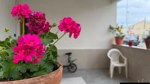 Foto 5 de Casa o chalet en venta en Lo Pagán, San Pedro del Pinatar
