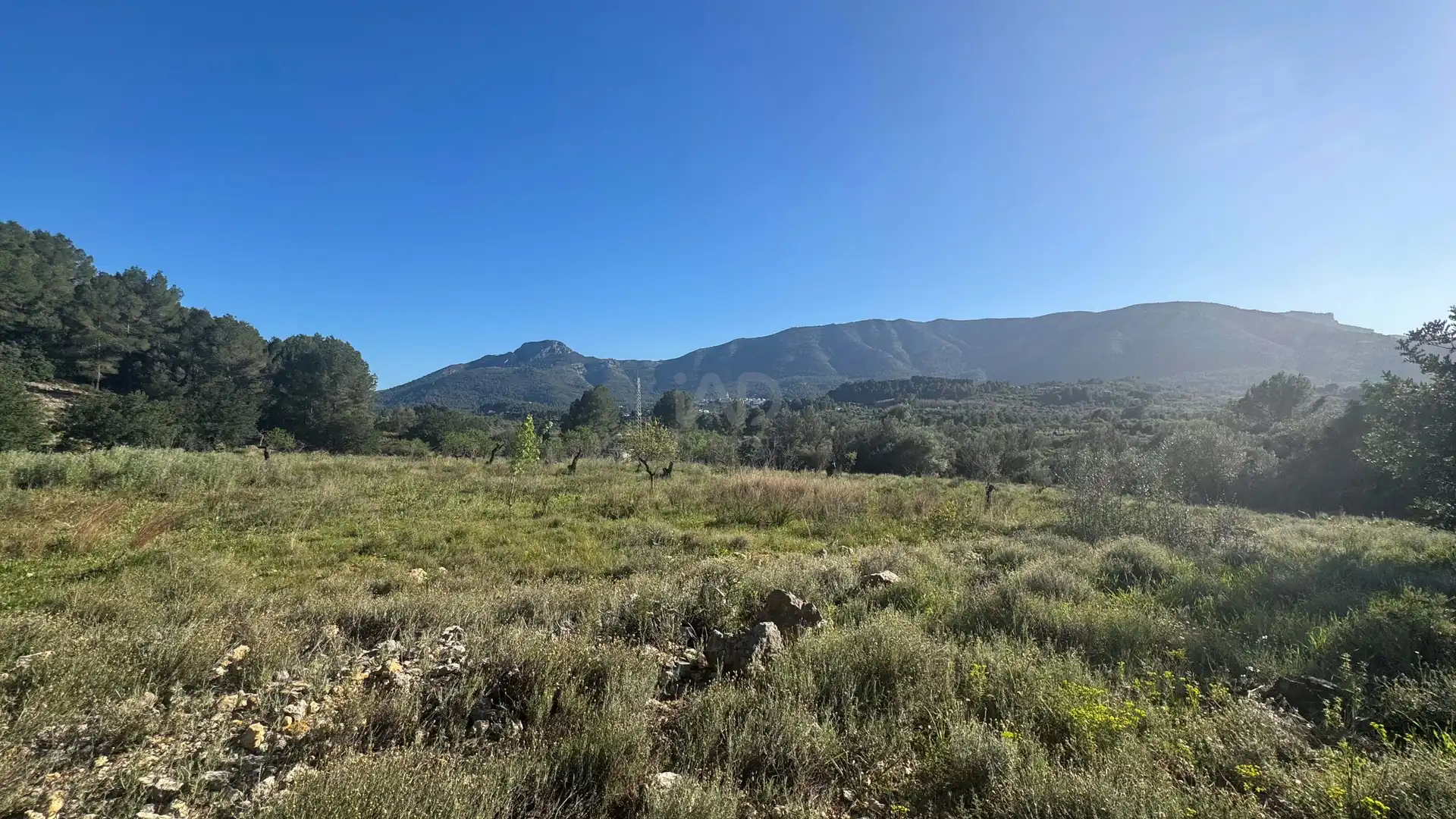 Residential for sale in Murla