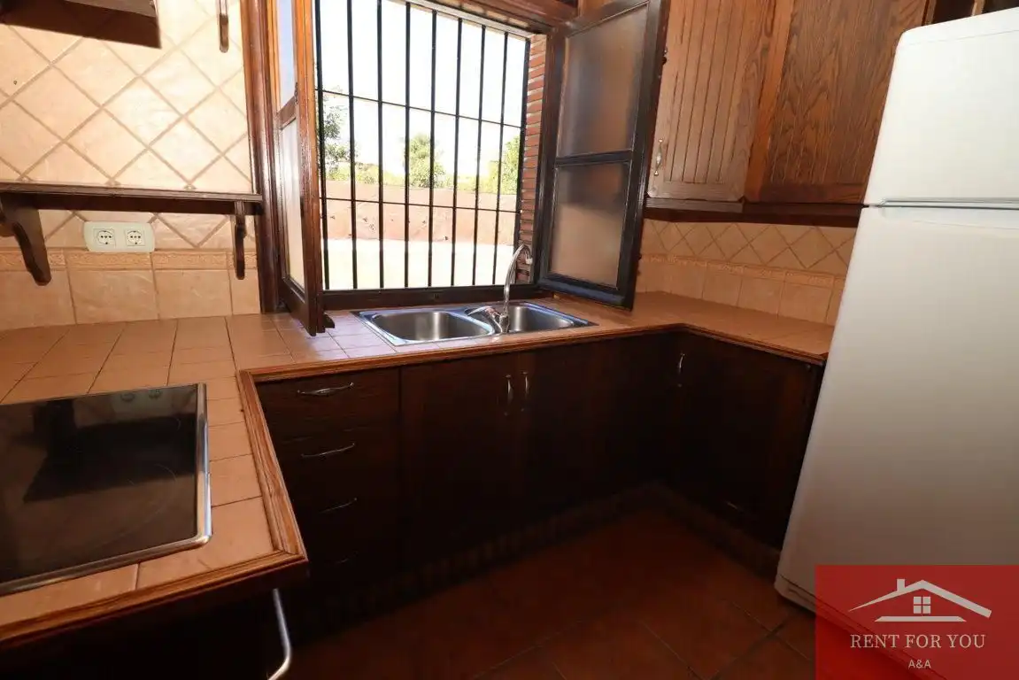 Casa con piscina en alquiler en Centro, imagen 37