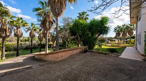 Foto 3 de Finca rústica en venda a Establiments,  Palma de Mallorca