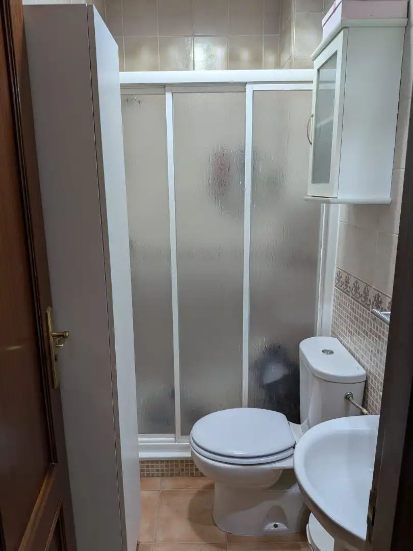 Bathroom of Detached homes for sale in Dos Hermanas