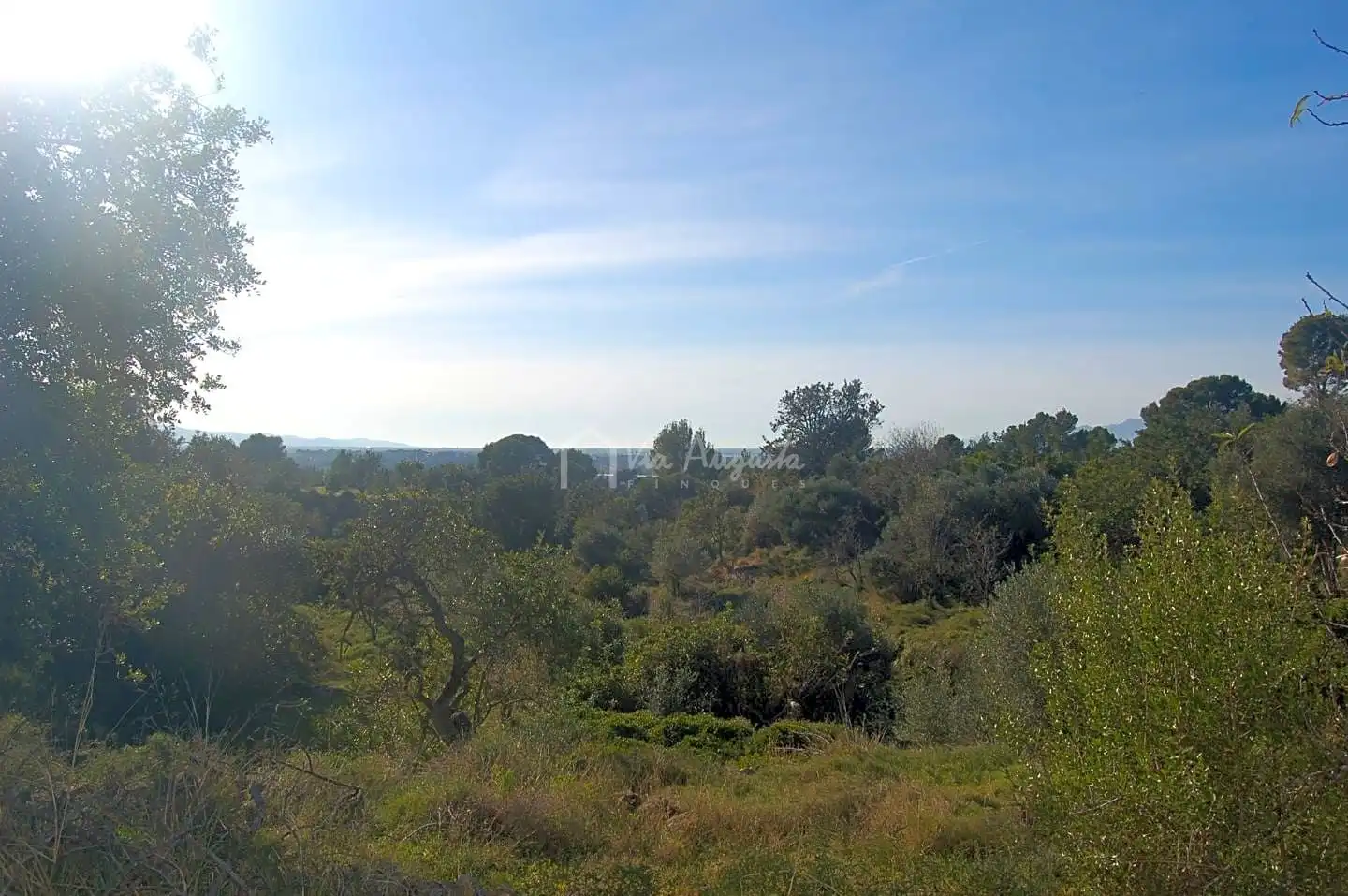 Maison rustique à vendre à Vella De Barcelona, imagen 48