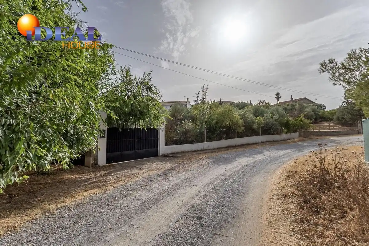 Xalet amb piscina en venda a Aljomahima - Ermita, imagen 50