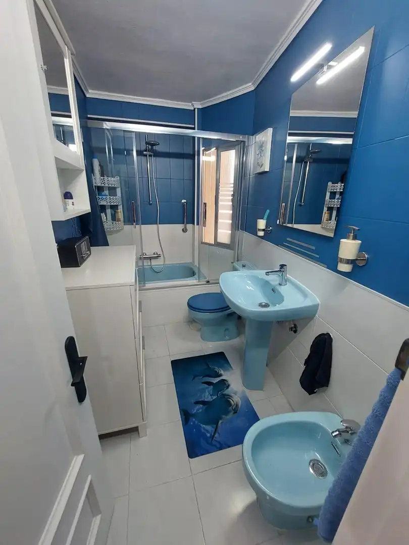 Flat with lift for sale in Calle Calle Brasil, imagen 27
