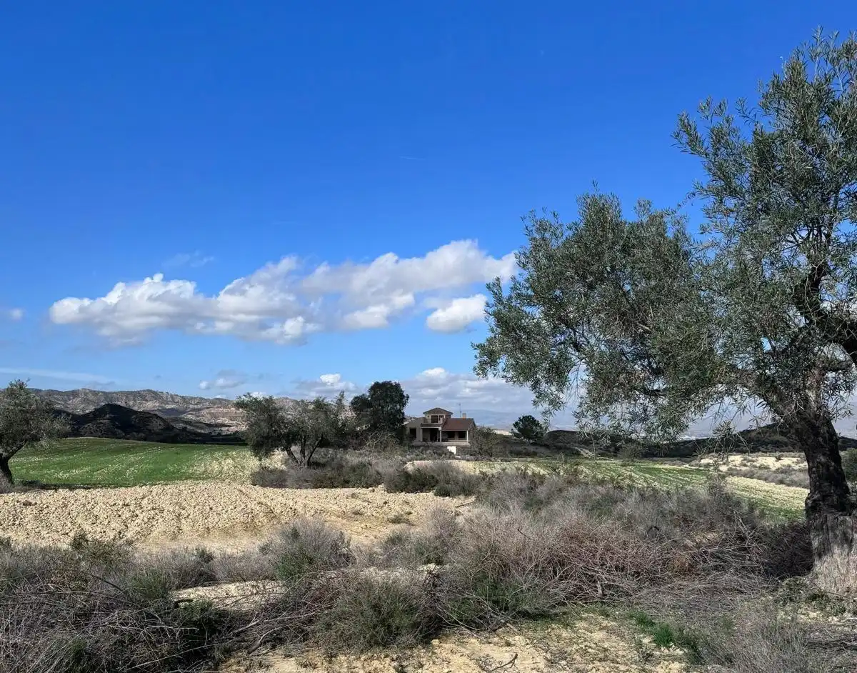 Residencial en venda a CABEZO DE LA PLATA, CAÑADAS DE SAN PEDRO, La Catedral