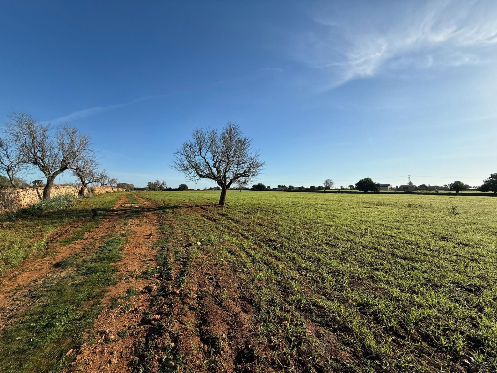 Terreno en venta en Felanitx