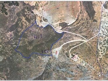 Rustikales Grundstück zum Verkauf in Alcolea