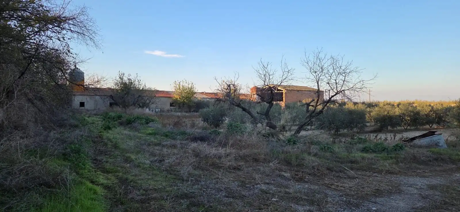 Residencial en venda en Vilagrassa