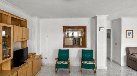 TorreviejaApartamento, imatge 4