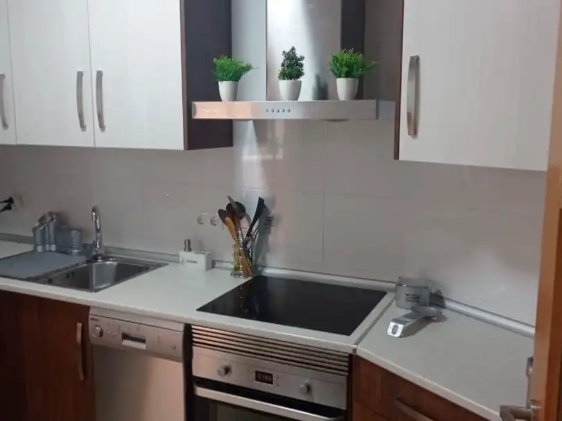 Cuina de Àtic en venda en El Ejido amb Aire condicionat i Terrassa
