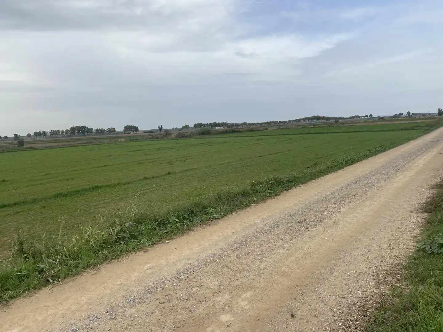 Terreny rústic en venda a Bellcaire d'Urgell, imagen 2