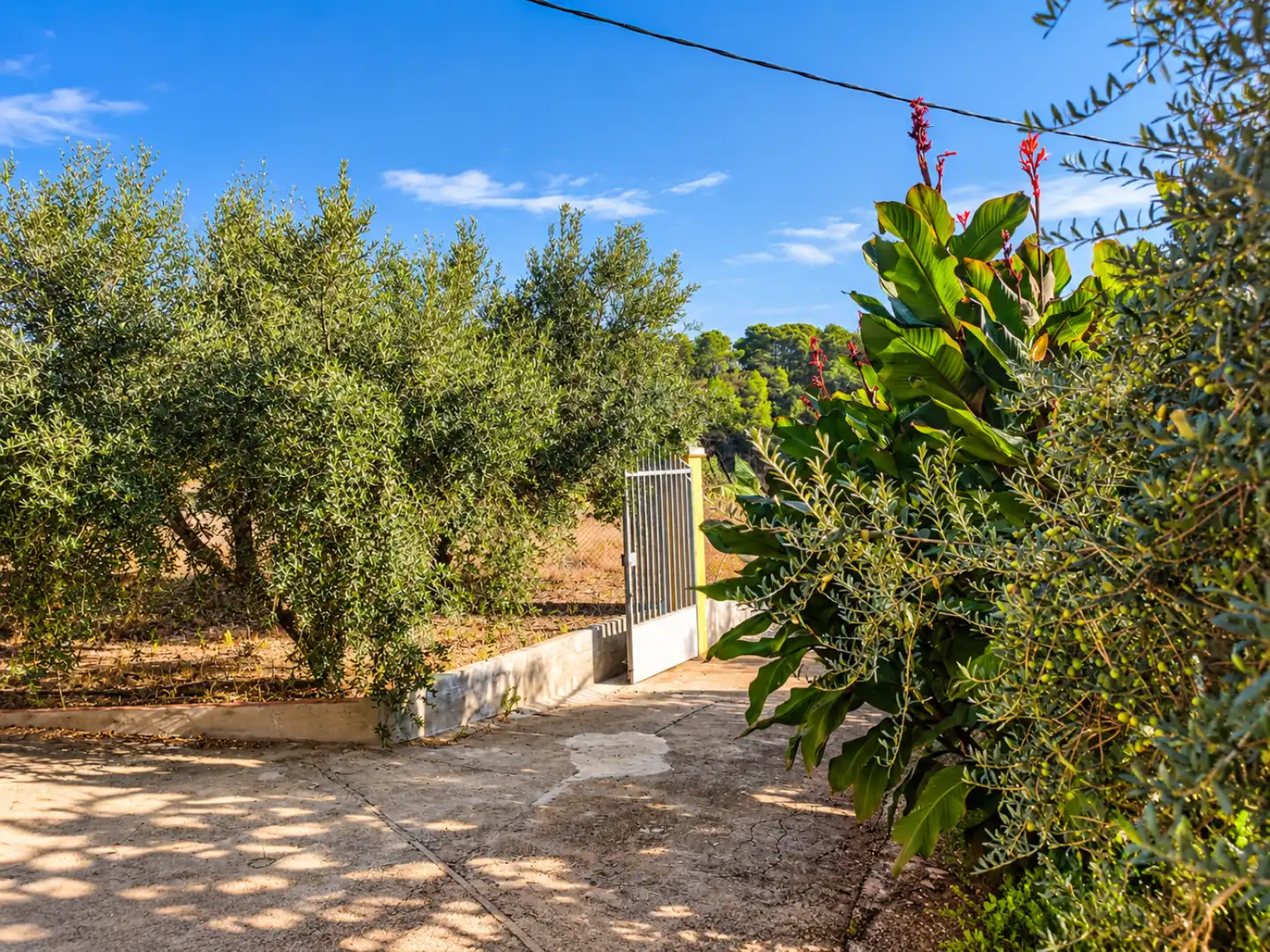 Maison avec piscine à vendre à Segorbe, imagen 17