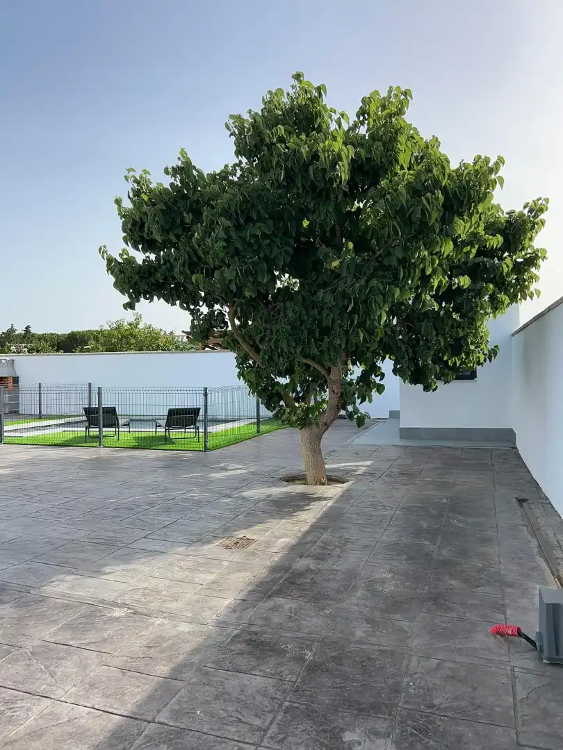 Terrassa de Casa o xalet en venda en Chiclana de la Frontera amb Calefacció, Jardí privat i Traster