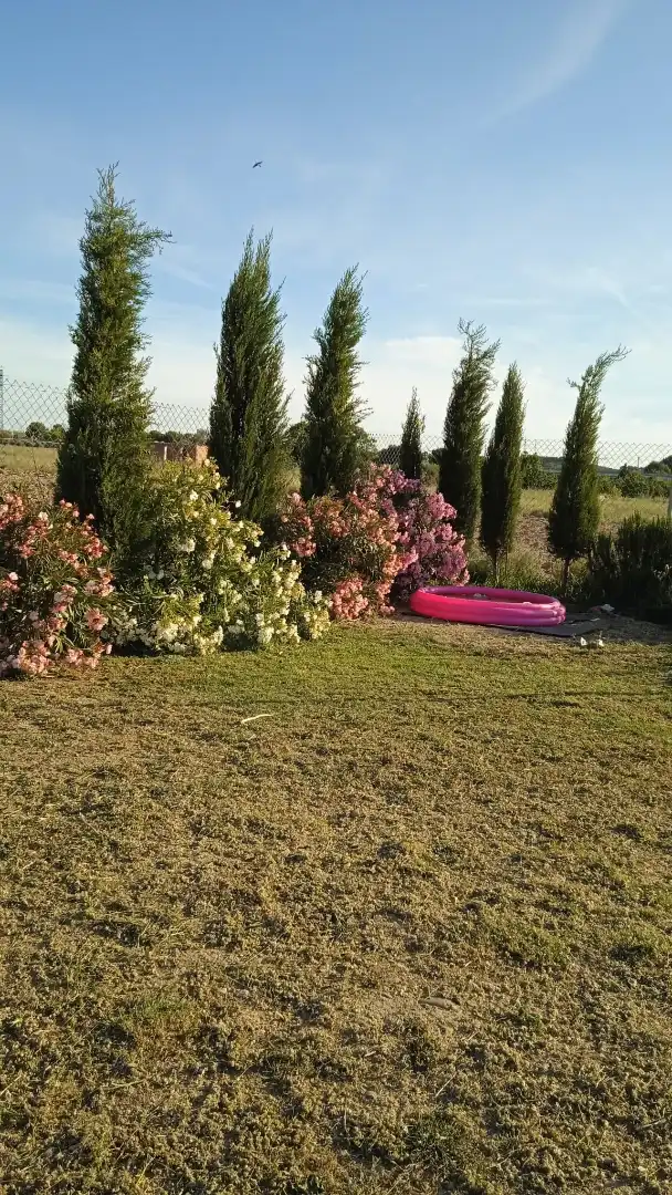 Garden of Land for sale in Tudela