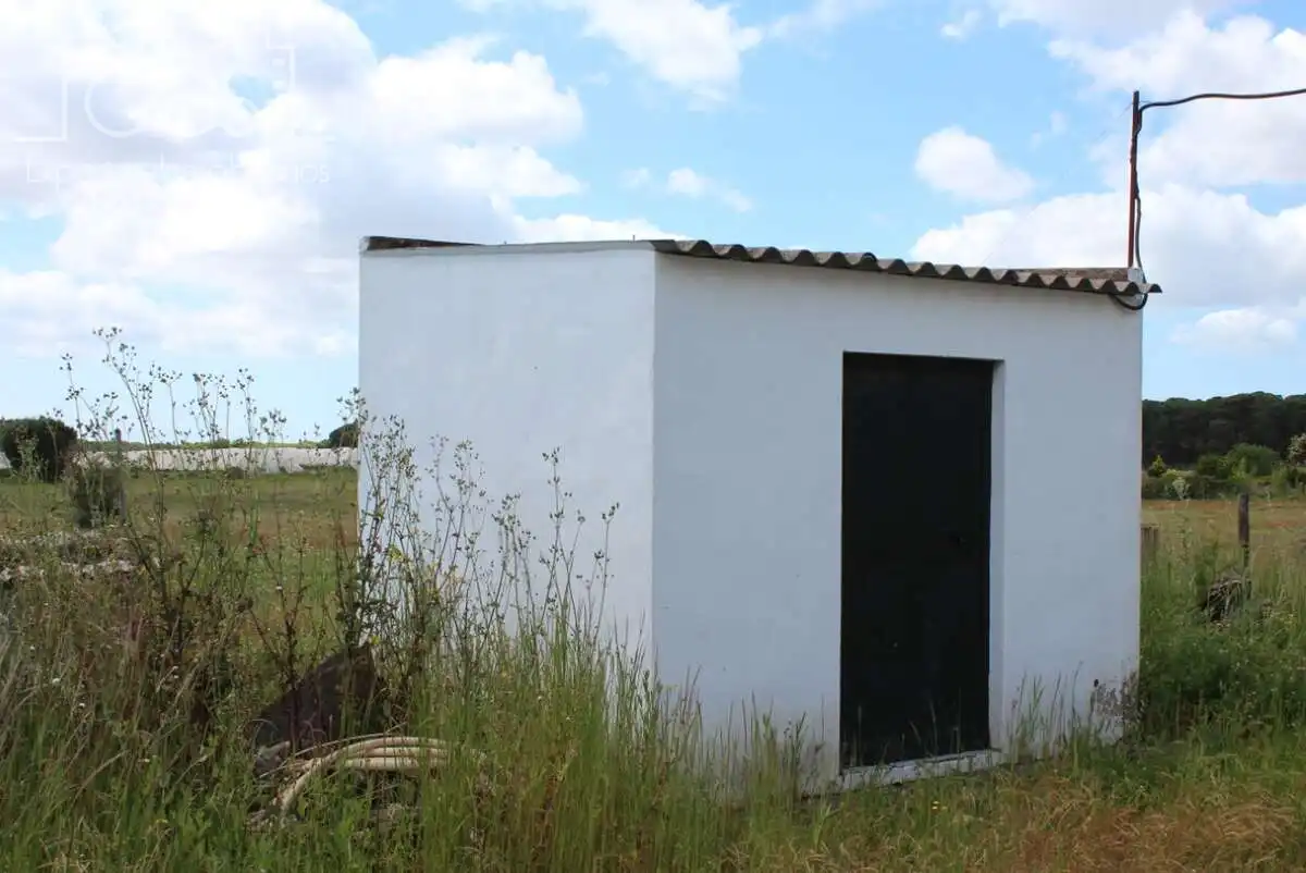Vista exterior de Finca rústica en venda en Almonte amb Traster i Moblat