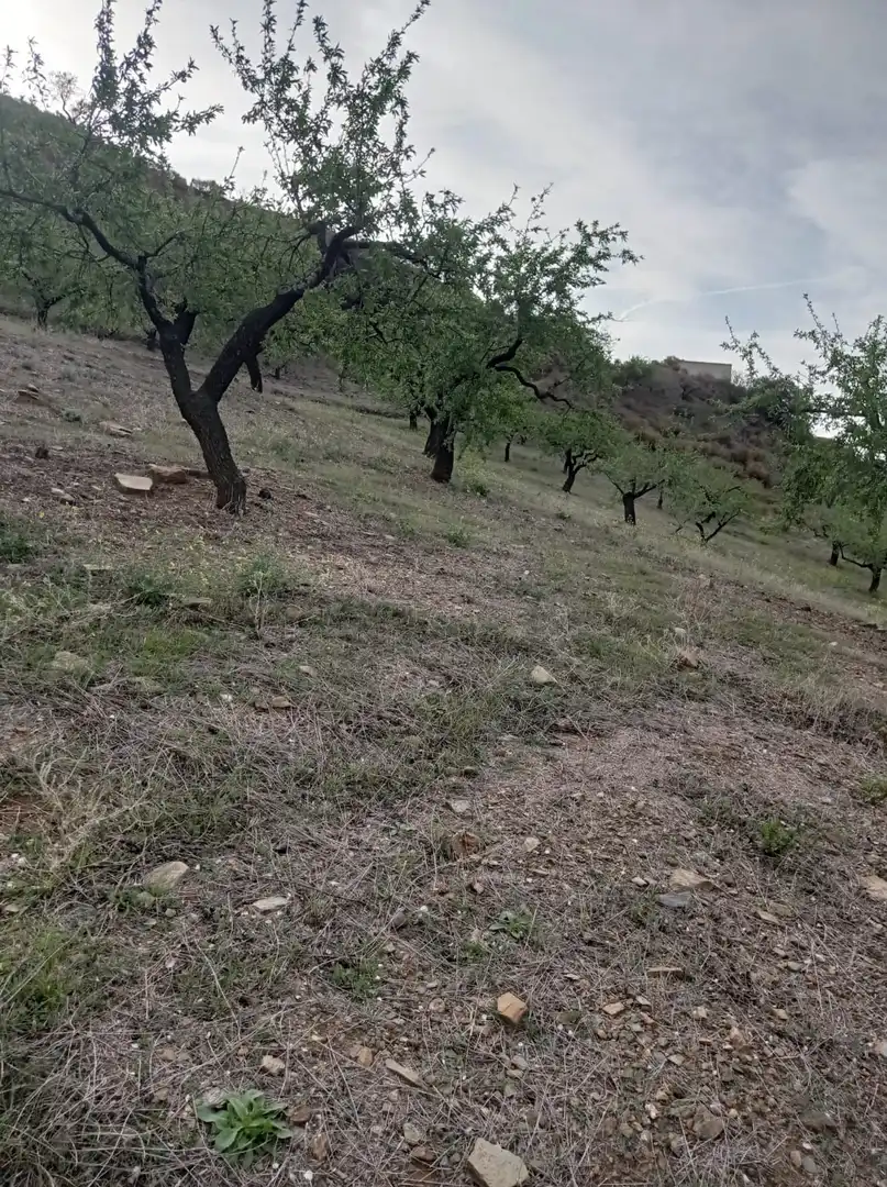 Terreni e lotti in vendita a Jete