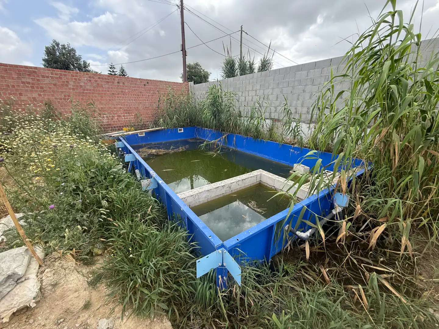 Swimming pool of Country homes for sale in Sanlúcar de Barrameda
