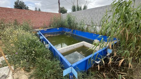 Foto 2 de Finca rústica en venda a Las Palmeras - Dehesilla, Sanlúcar de Barrameda