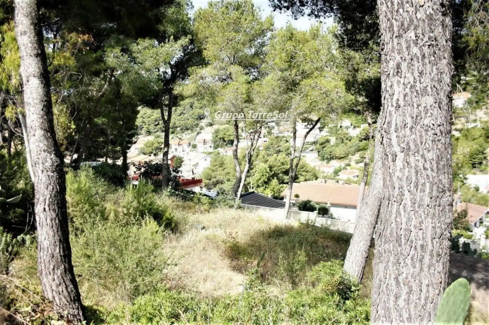 Terrain rustique à vendre à el Greco, imagen 3
