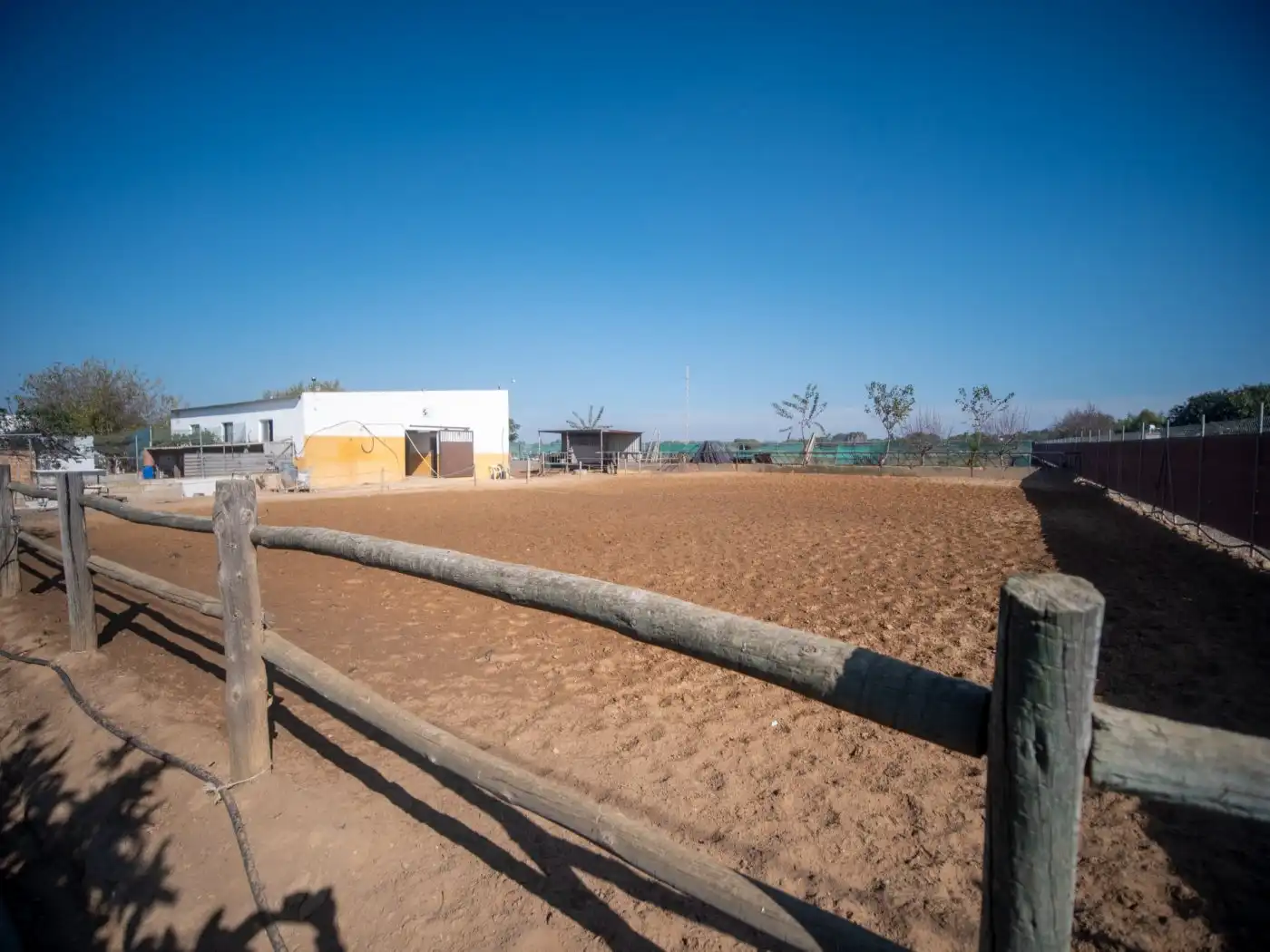 Vista exterior de Finca rústica en venta en Chipiona con Jardín privado y Terraza