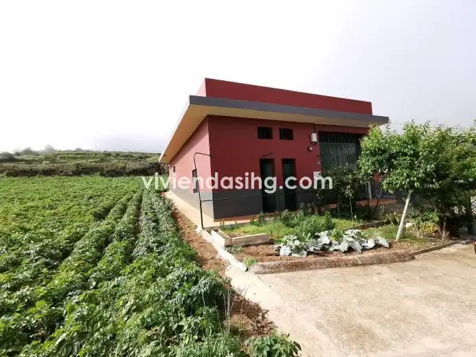 Terreno rustico in vendita a La Perdoma - San Antonio - Benijos