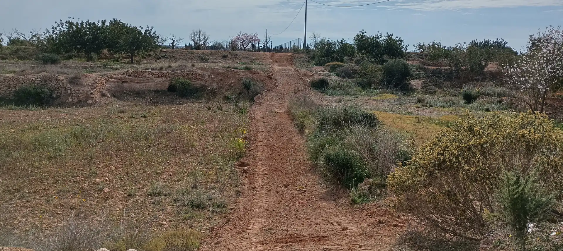 Terrenys i solars en venda a Pedanías Oeste, imagen 7