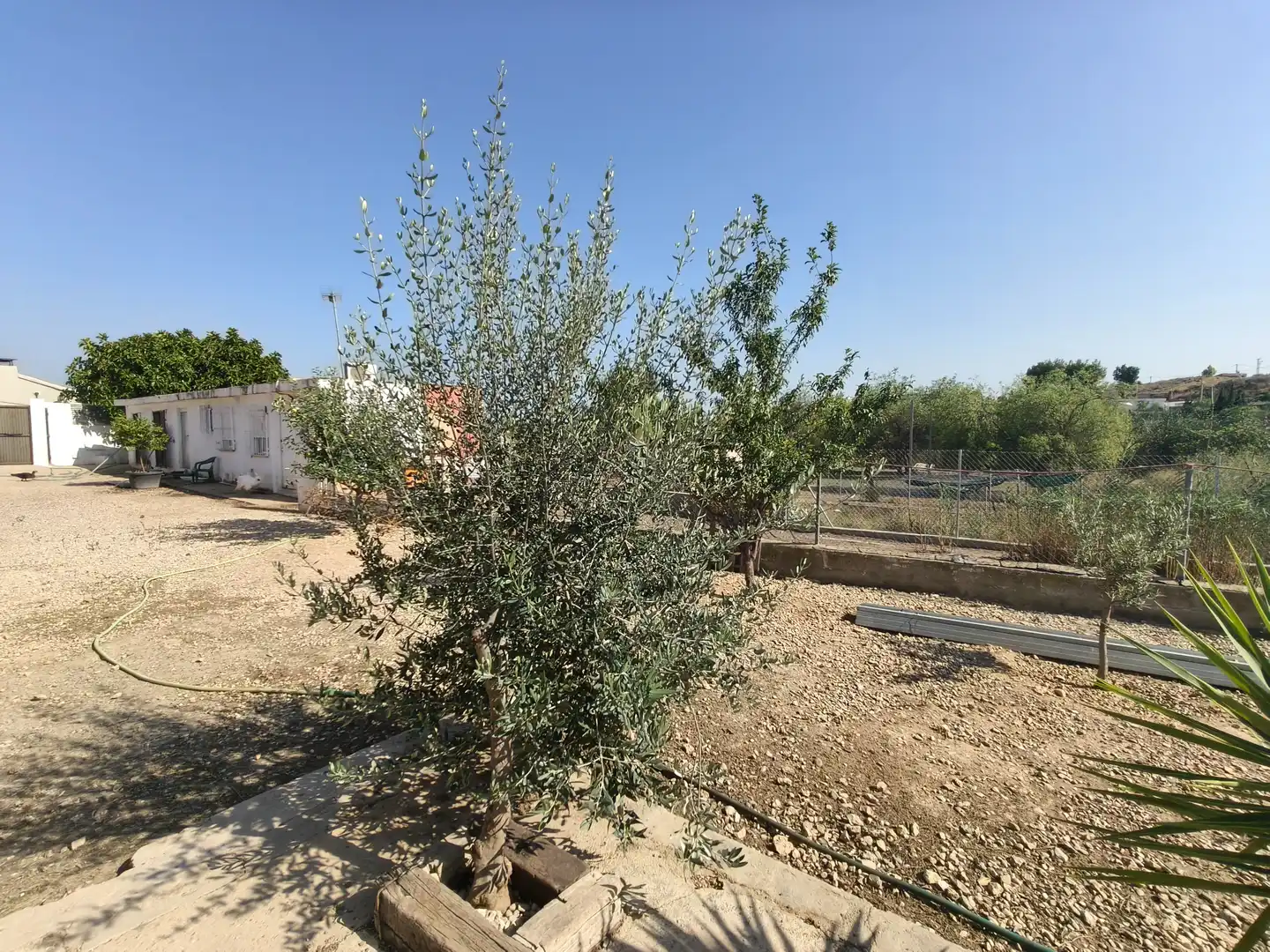 Casa o chalet en venta en Montroi / Montroy con Jardín privado, Terraza y Trastero