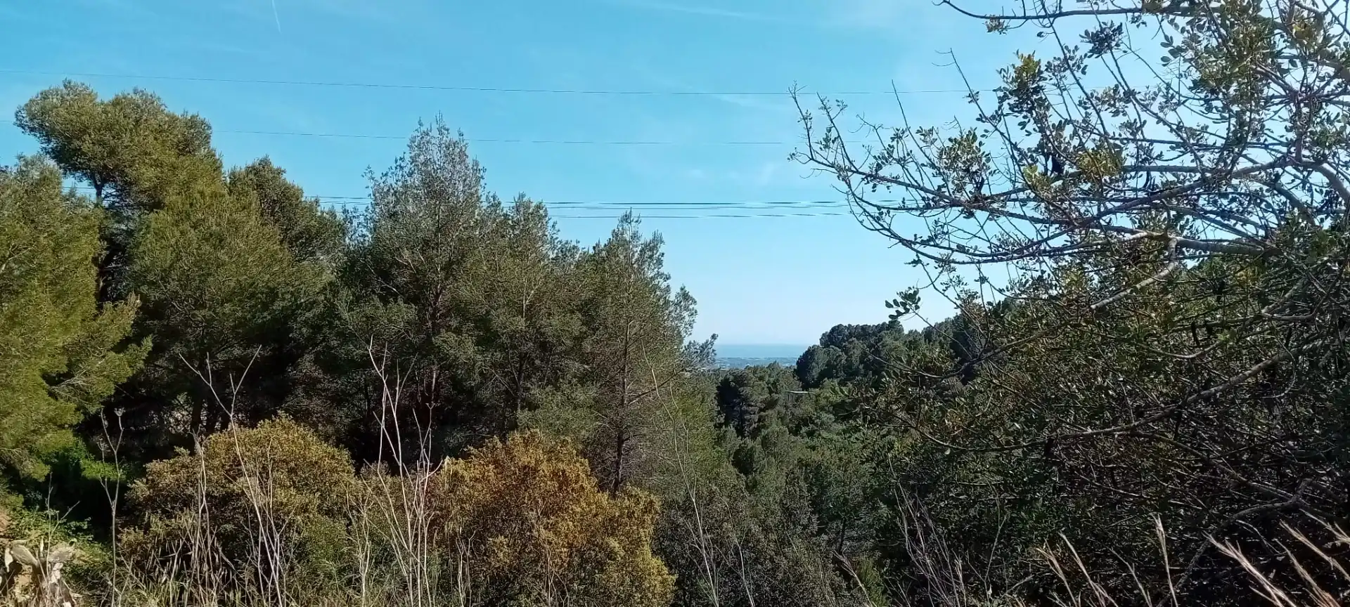 Residential land for sale in Almoster, imagen 12
