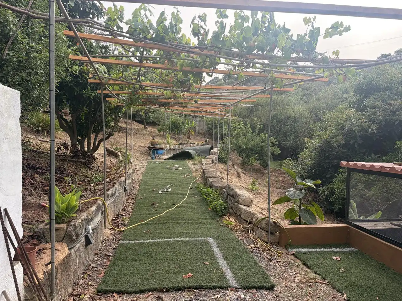 Jardín de Casa o chalet de alquiler en Firgas con Jardín privado, Terraza y Amueblado