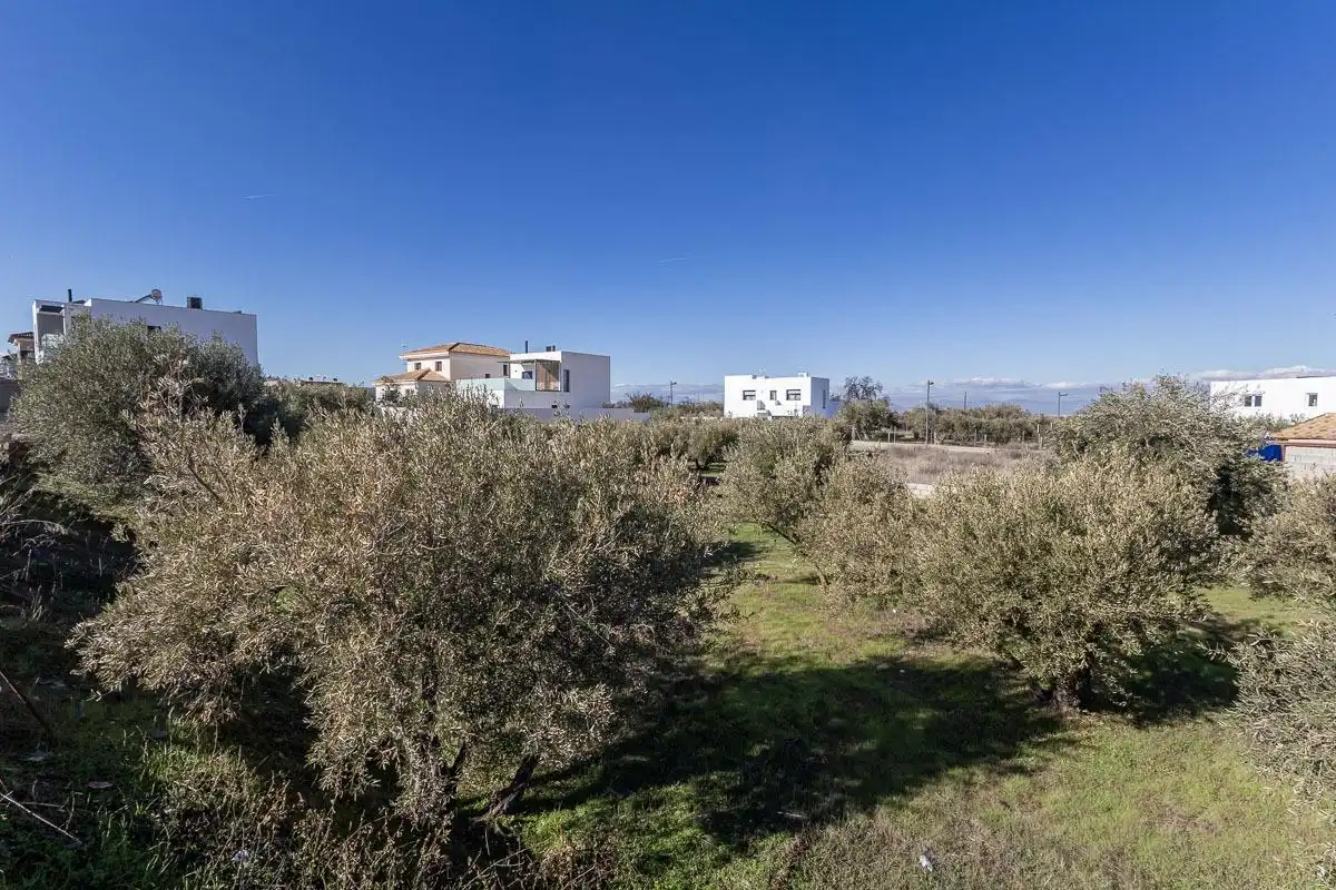 Terreni e lotti in vendita a La Zubia Ciudad, imagen 9