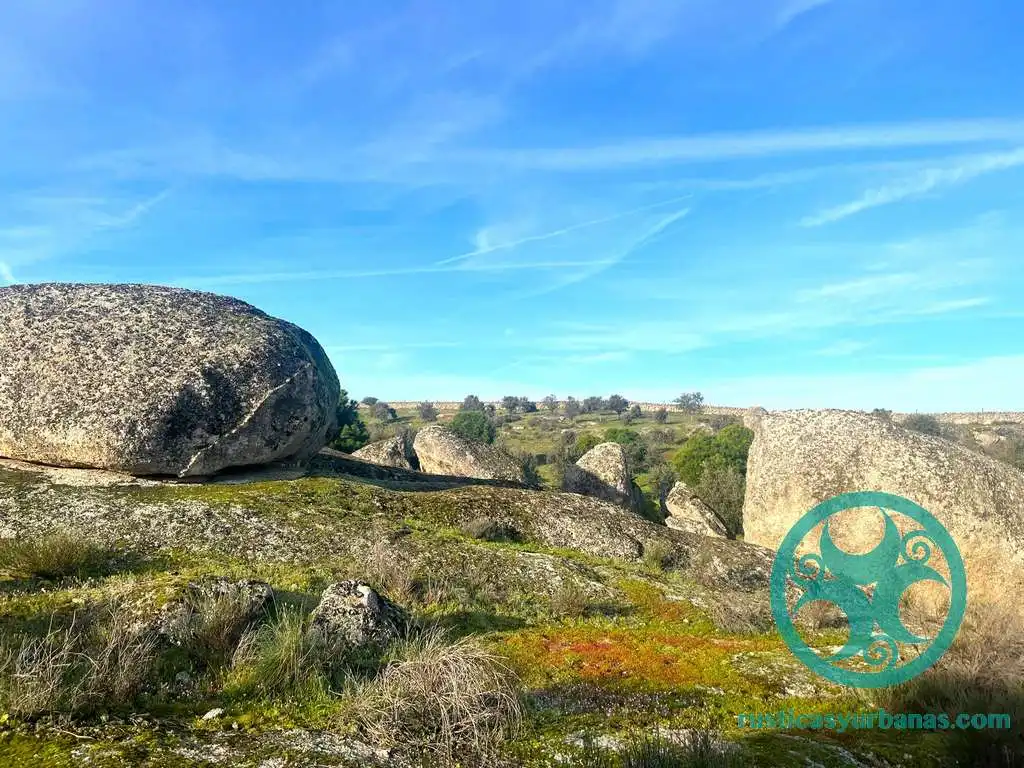 Terreni e lotti in vendita a Casar de Cáceres, imagen 14