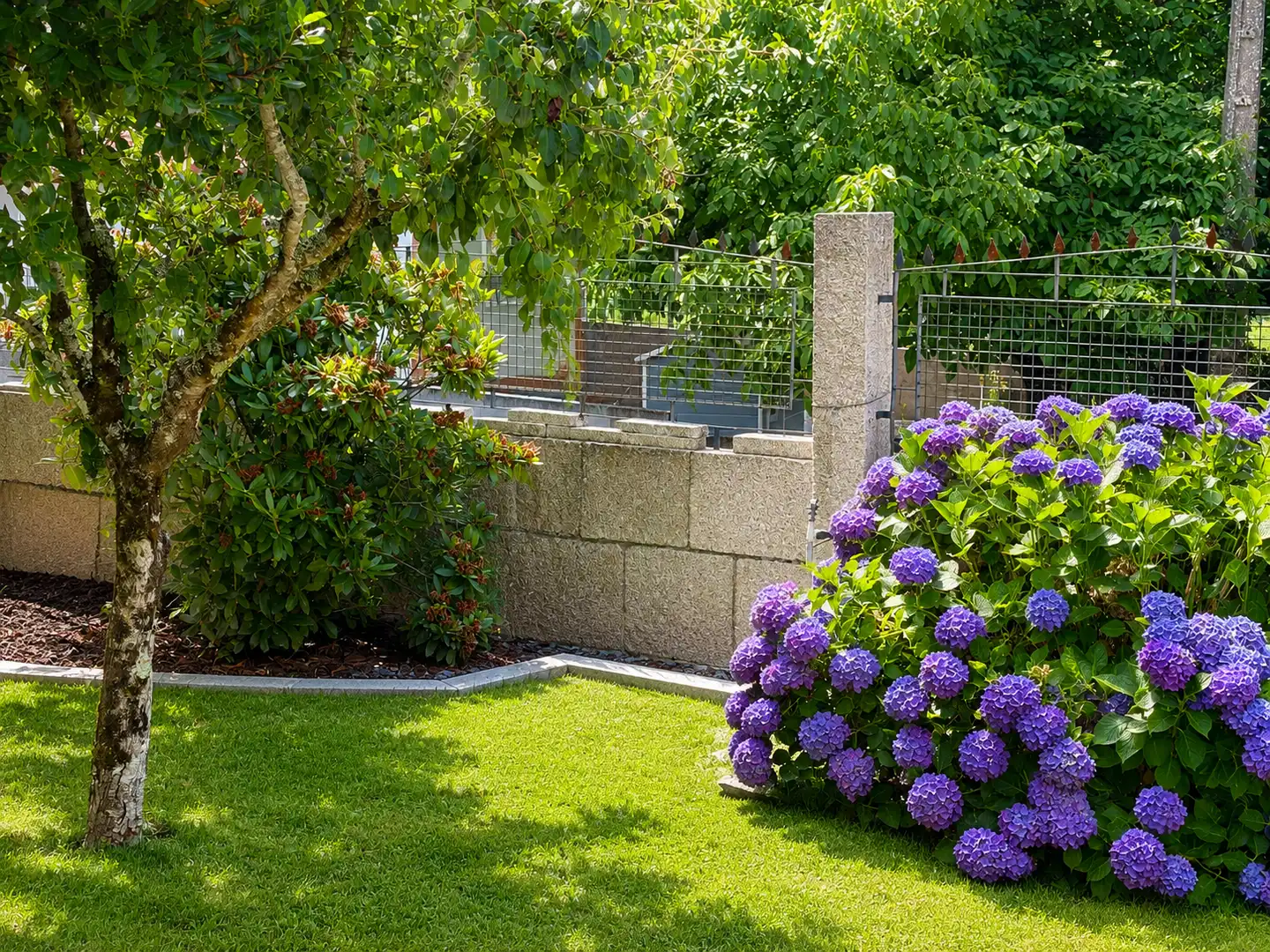 Jardí de Casa o xalet en venda en A Cañiza   amb Calefacció, Jardí privat i Parquet