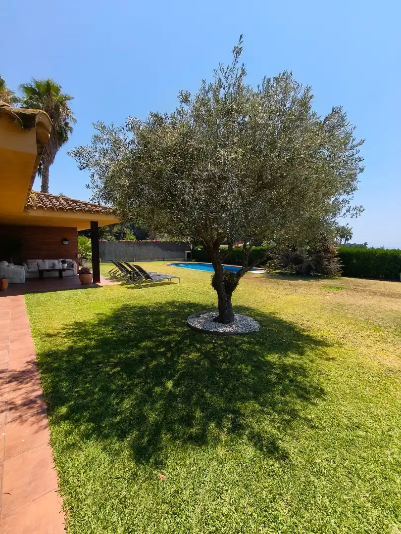 Garden of Houses for sale in Sant Andreu de Llavaneres  with Air Conditioner, Heating and Private garden