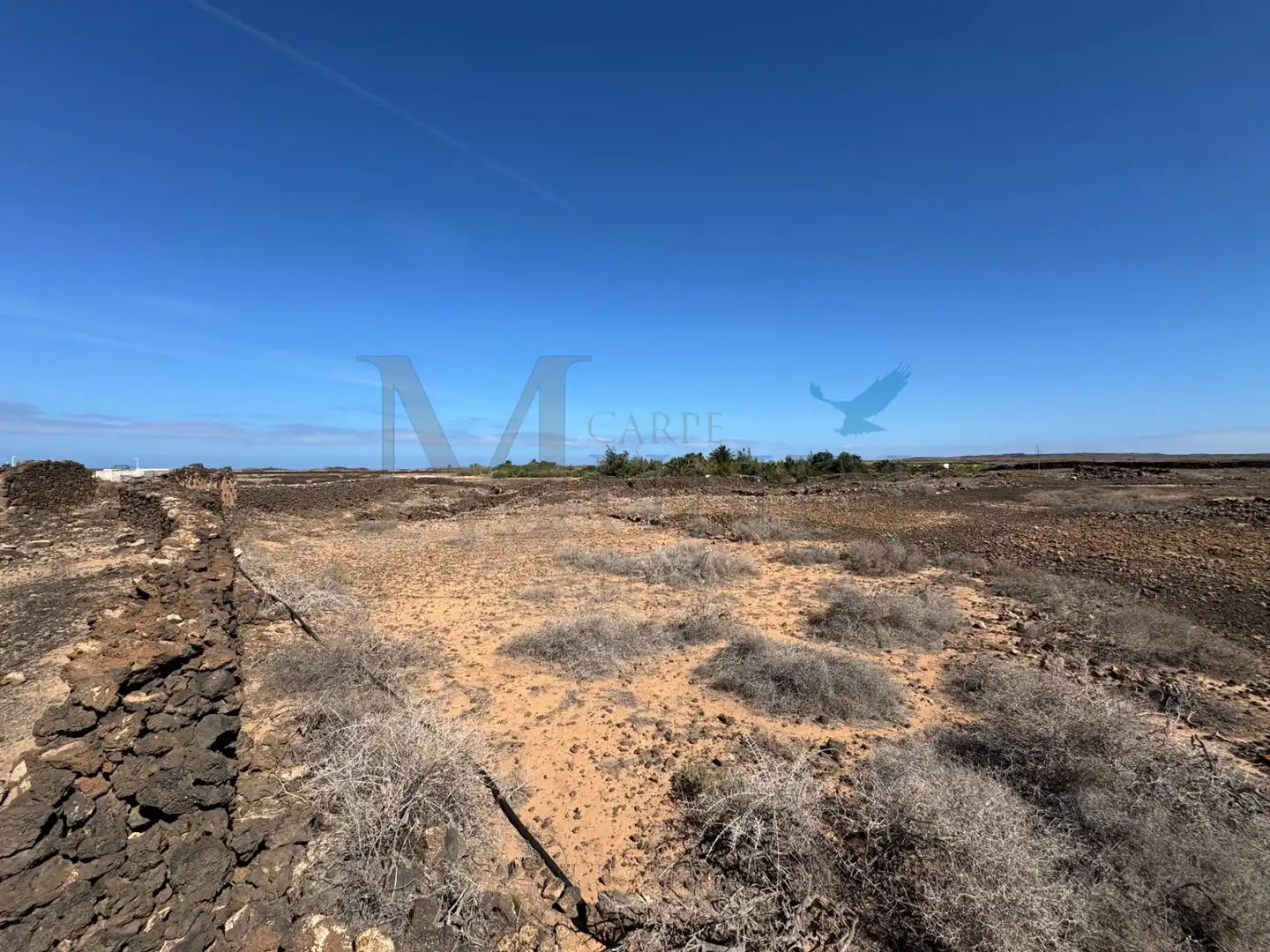 Land for sale in La Oliva