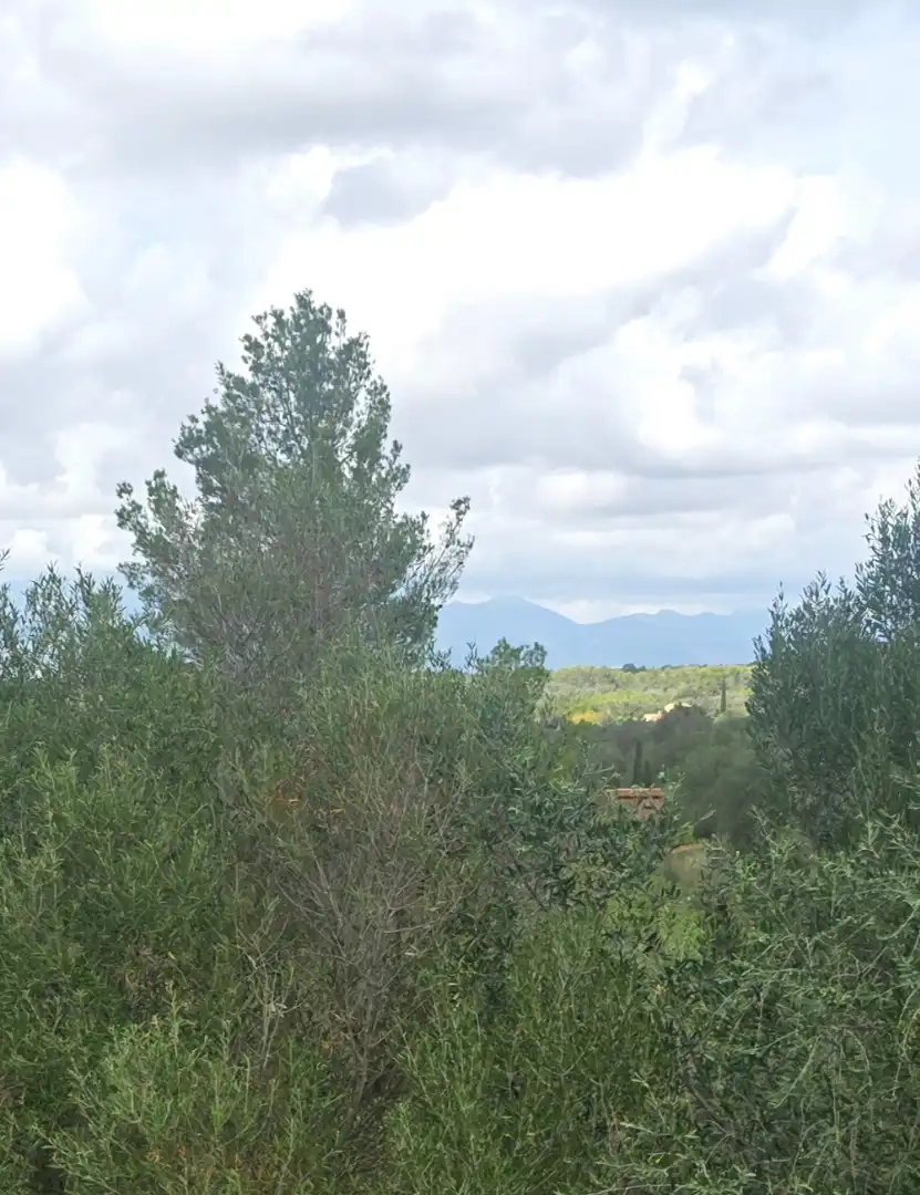 Villa mit Terrasse zum Verkauf in Algaida, imagen 39