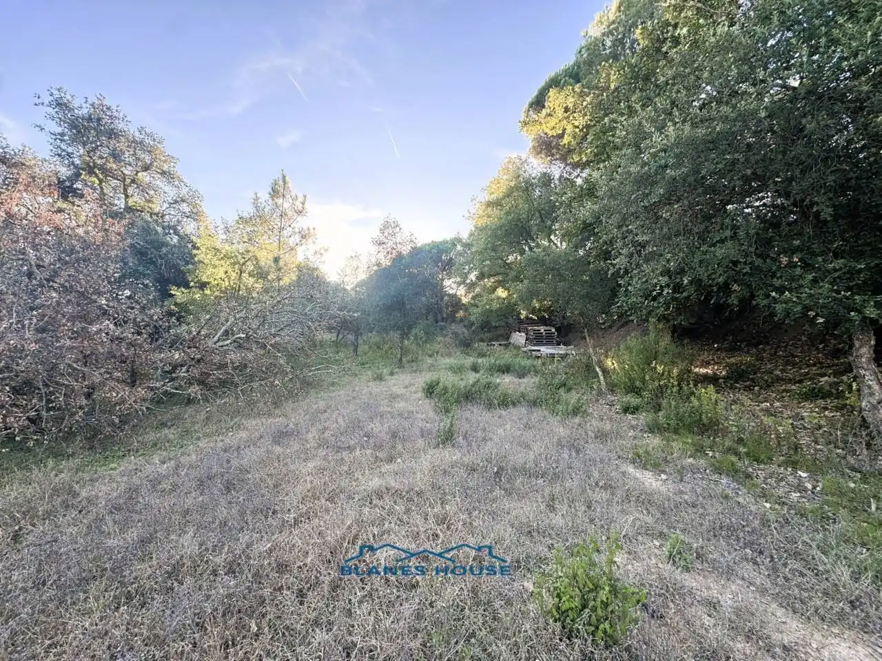 Finca rústica en venda en Tordera amb Jardí privat
