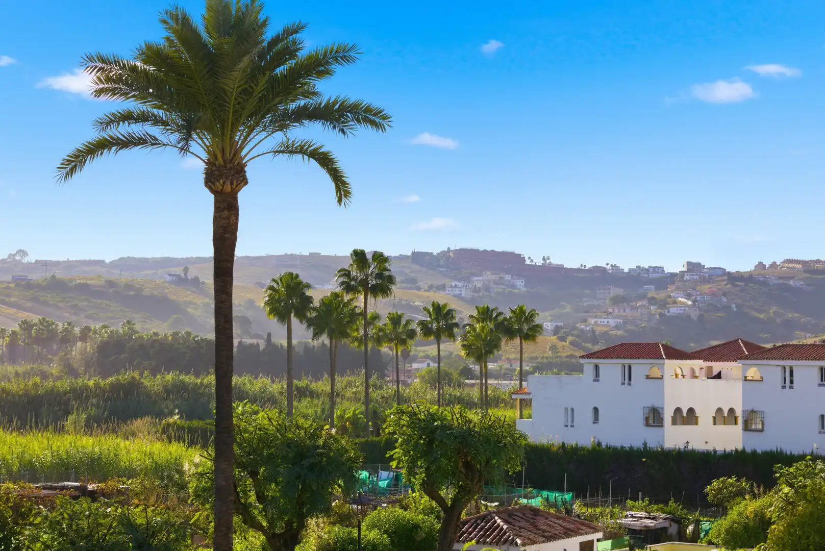 Vista exterior de Casa o chalet en venta en Casares con Jardín privado, Terraza y Piscina
