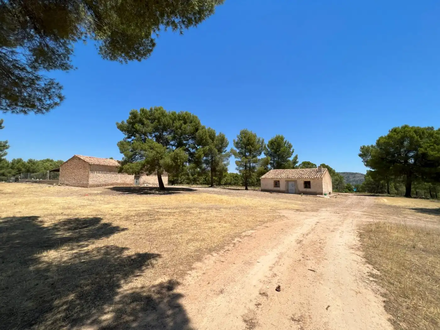 Terreno en venta en Férez
